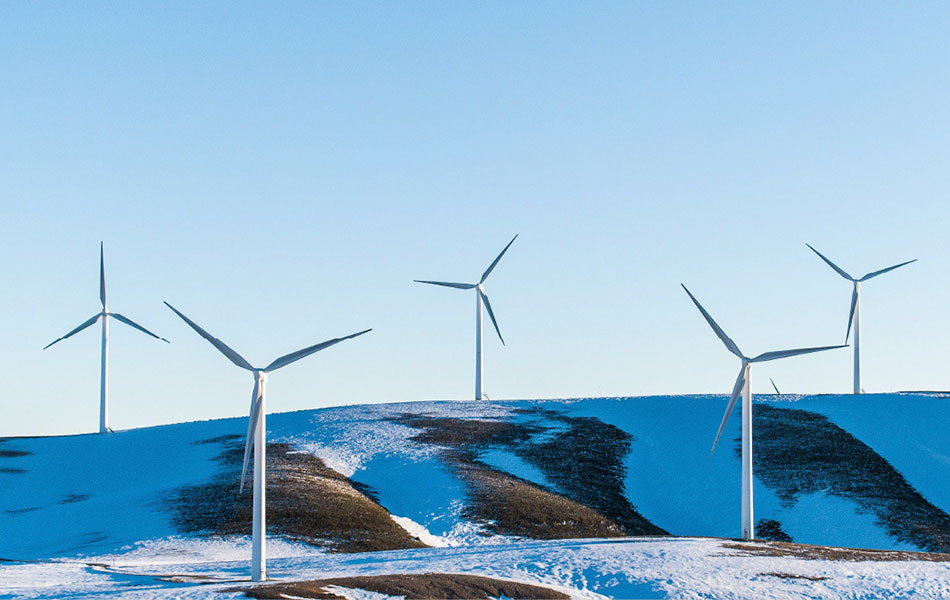 浙江新辉五金科技有限公司（中文）